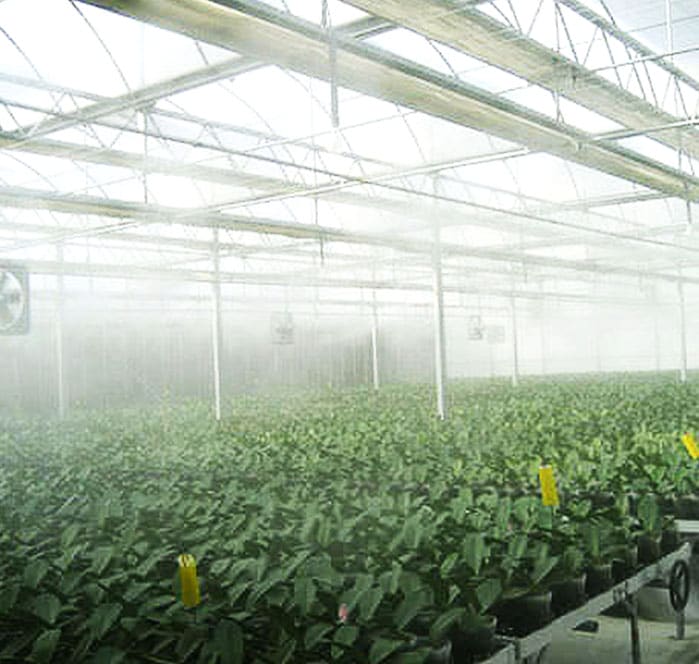 misting cooling system over agriculture crops 